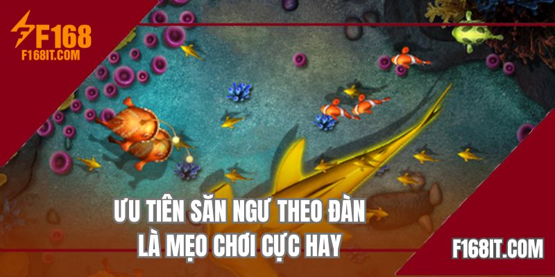 Ưu tiên săn ngư theo đàn là mẹo chơi cực hay