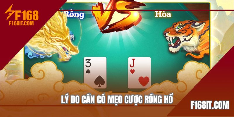 Lý do cần có mẹo cược rồng hổ