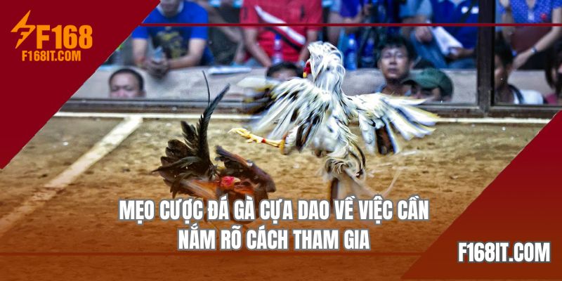 Chi tiết về quy trình trận đấu trong mẹo cược đá gà cựa dao